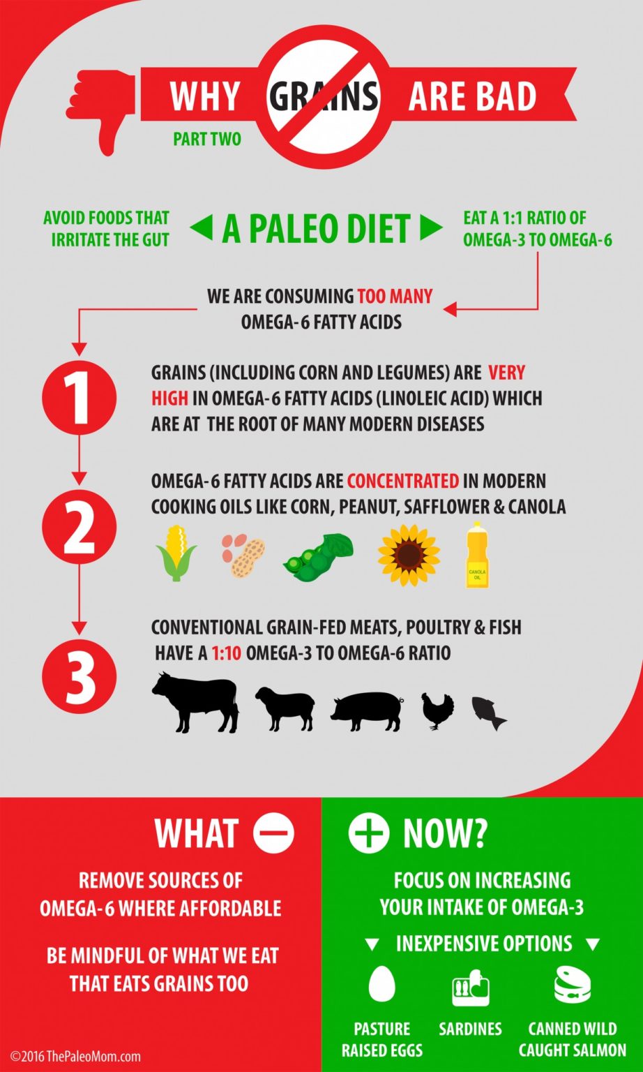 Why Grains Are Bad-Part 2, Omega 3 vs. 6 Fats - The Paleo Mom