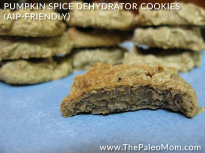 Pumpkin Spice Dehydrator Cookies (AIP-friendly) - The Paleo Mom