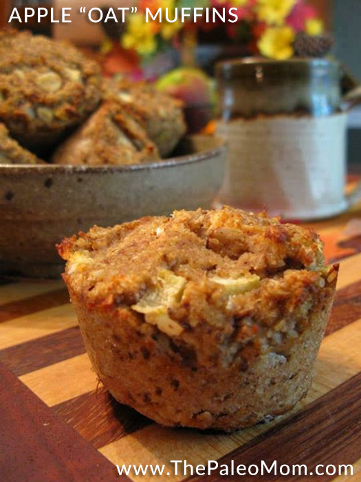 Apple Oat Muffins