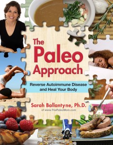 The Paleo Approach by Sarah Ballantyne