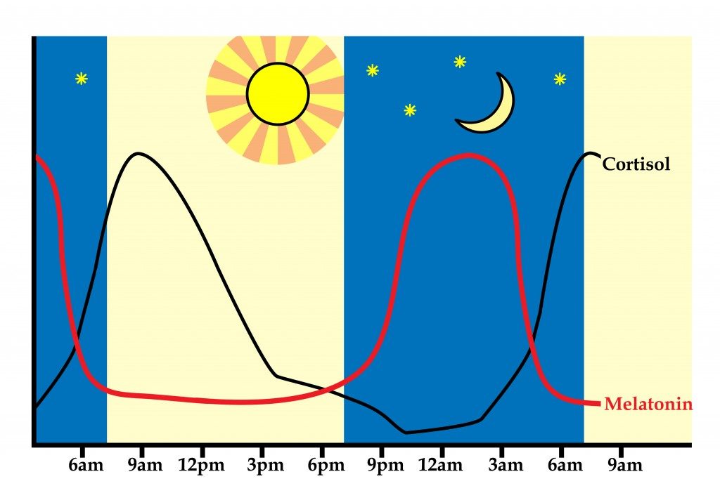 Regulating Circadian Rhythm And Why Thats Important ~ The Paleo Mom 
