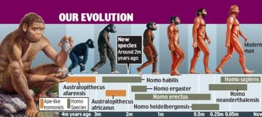 The Diet We’re Meant to Eat, Part 1: Evolution & Hunter-Gatherers