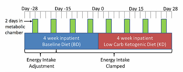 New Scientific Study: Calories Matter