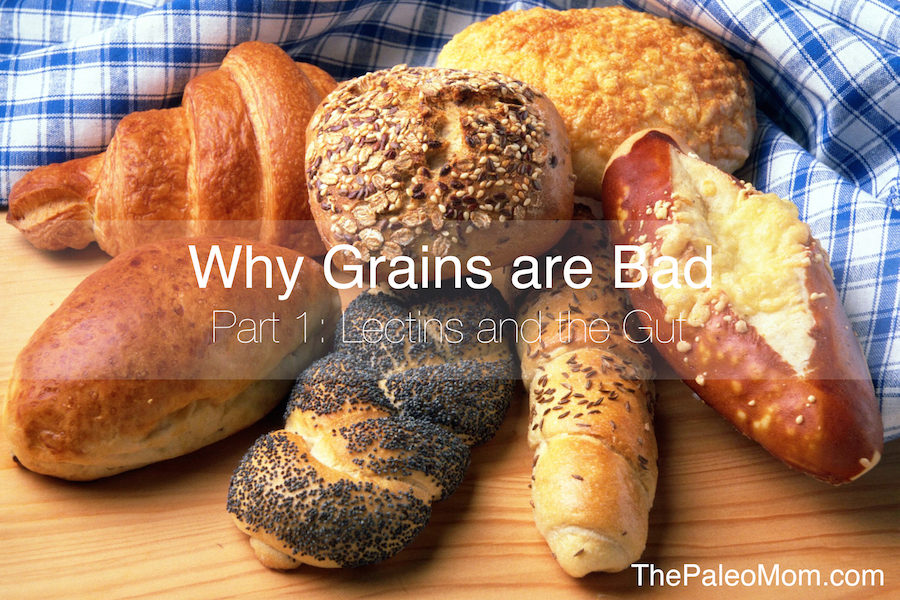 Why Grains Are Bad