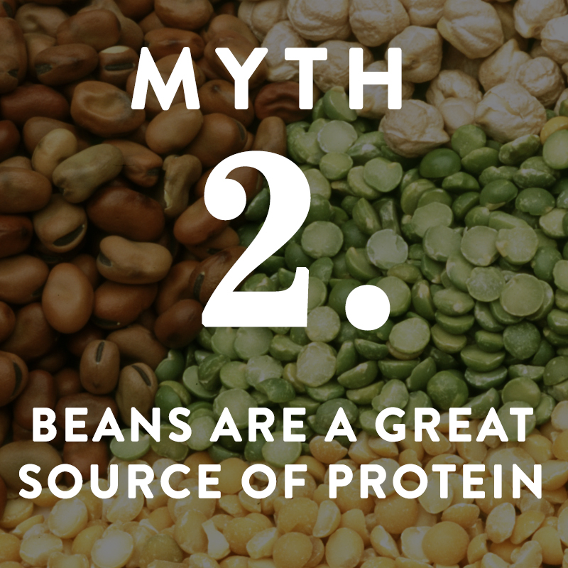 Can You Eat Beans On A Paleo Diet