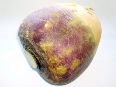 Rutabaga - The Paleo Mom