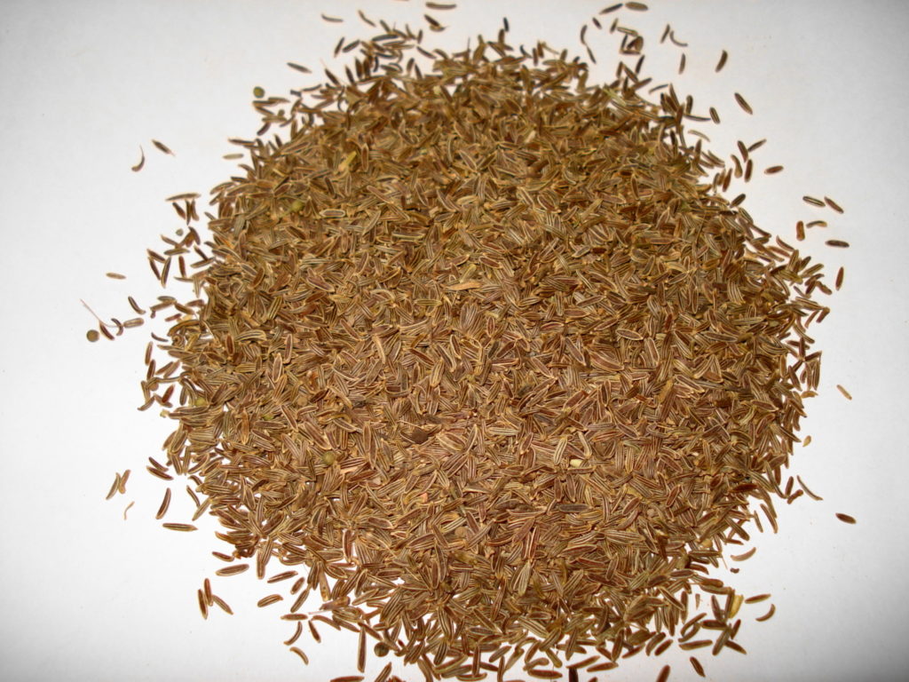 Caraway Seeds The Paleo Mom