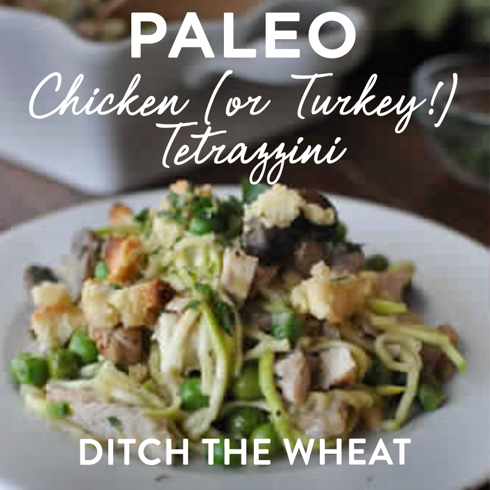 https://www.thepaleomom.com/wp-content/uploads/2016/11/A-Paleo-Thanksgiving-Leftover-Roundup-Paleo-Tetrazzini.jpg