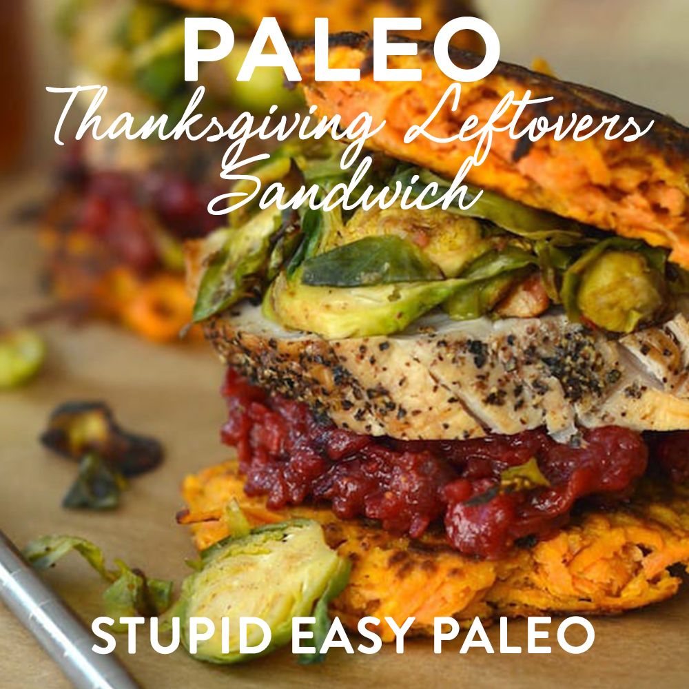 https://www.thepaleomom.com/wp-content/uploads/2016/11/A-Paleo-Thanksgiving-Leftover-Roundup-Paleo-Thanksgiving-Leftovers-Sandwich.jpg