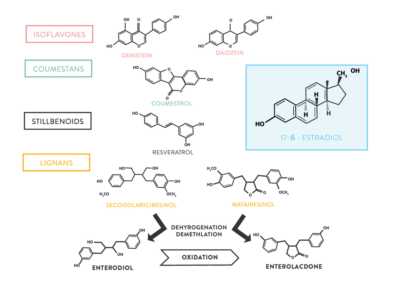 Demystifying Adrenal Fatigue Part 3: Nutrition for Adrenal Glands