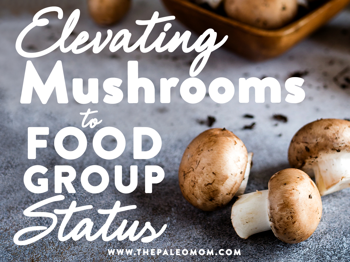 Elevating-Mushrooms-to-Food-Group-Status.jpg