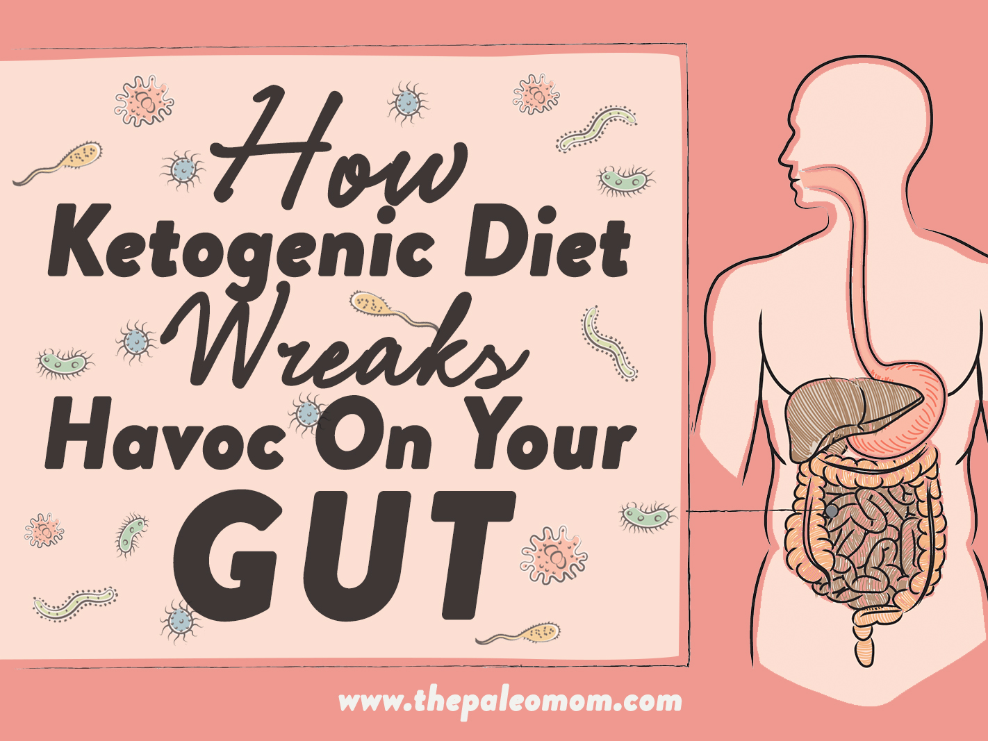 https://www.thepaleomom.com/wp-content/uploads/2019/05/How-Ketogenic-Diet-Wreaks-Havoc-On-Your-Gut-04.jpg