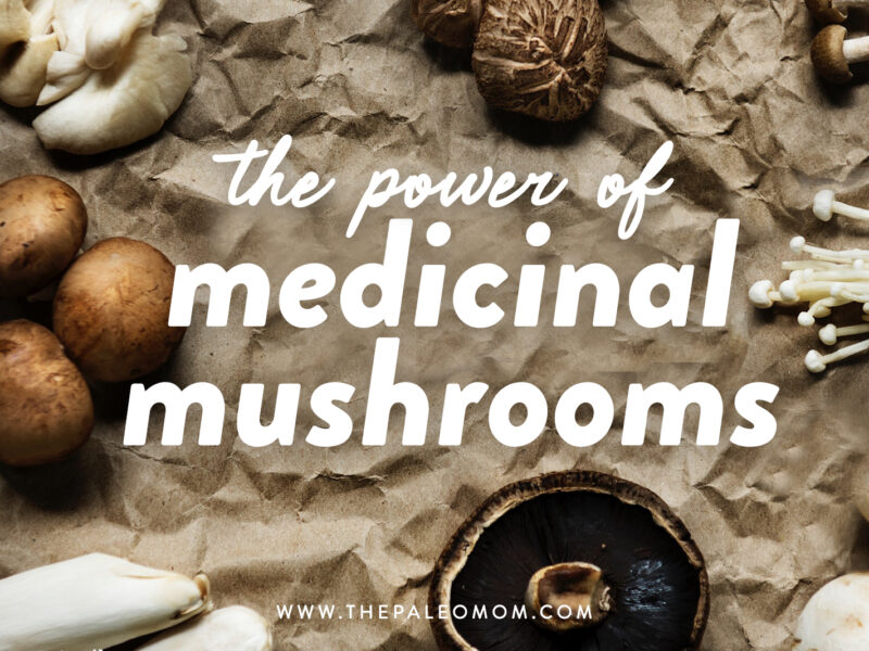 The Power Of Medicinal Mushrooms: An Overview - The Paleo Mom