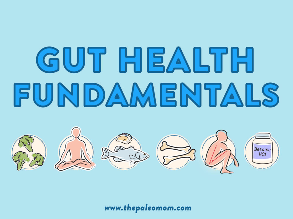 Gut Health Fundamentals - The Paleo Mom