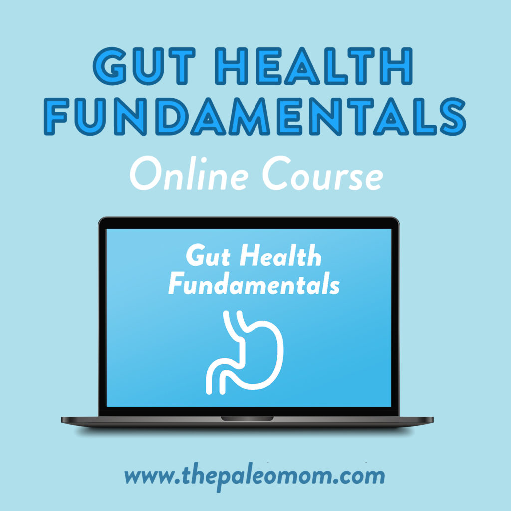 Gut Health Fundamentals - The Paleo Mom