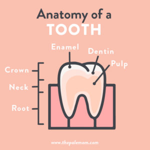 Nutritional Support for Natural Oral Care - The Paleo Mom